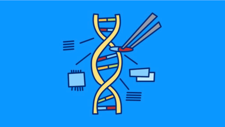 Introducing rule-based refactoring