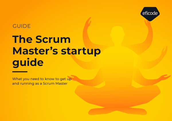 The scrum masters startup guide - cover