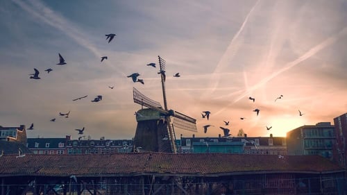 amsterdam-view
