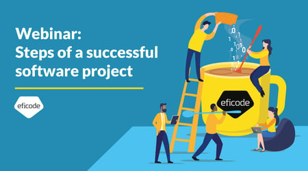 On-demand: Steps of a successful software project